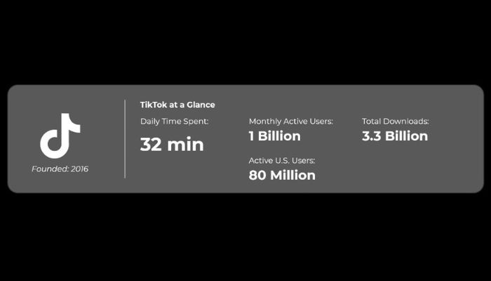 TikTok Usage Stats
