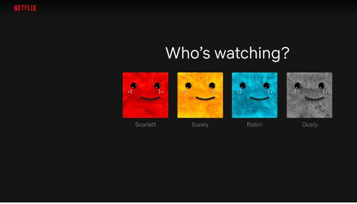What is a netflix profile