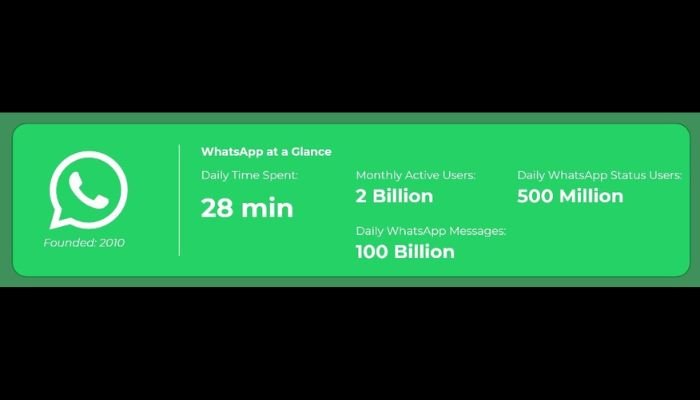 WhatsApp Usage Stats
