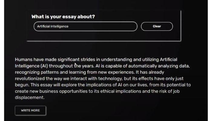 more essay caktus ai
