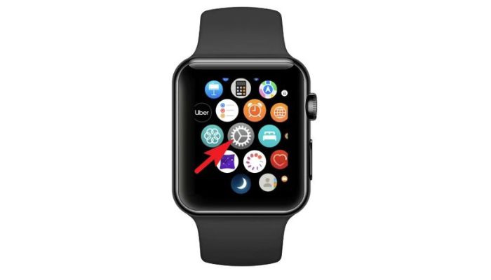 Settings Icon Apple Watch