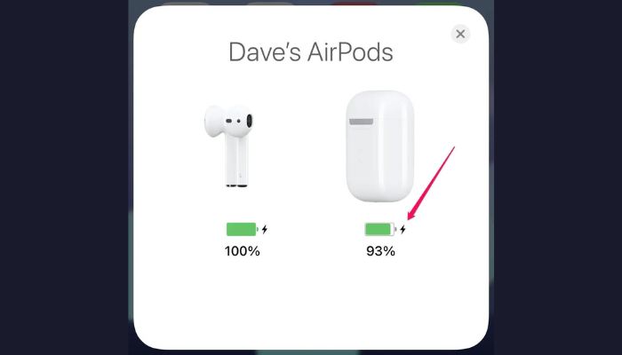 Check The Battery Level Of The Case