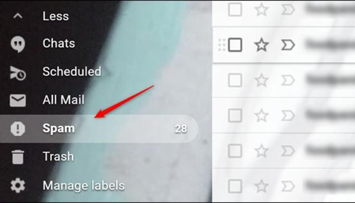 Check Your Spam Folder