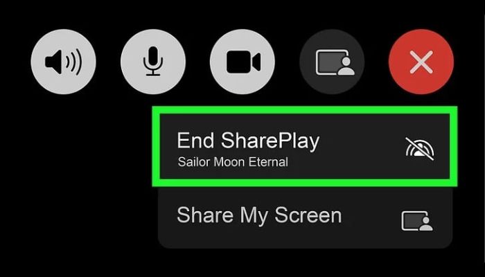 End Shareplay