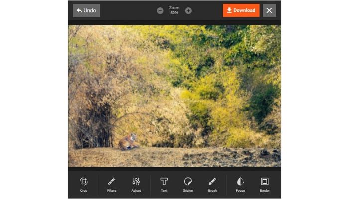 Picuki Instagram Photo Editor