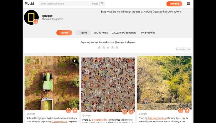 Picuki Profile Analytics