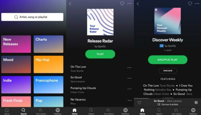 Spotify Premium Worth