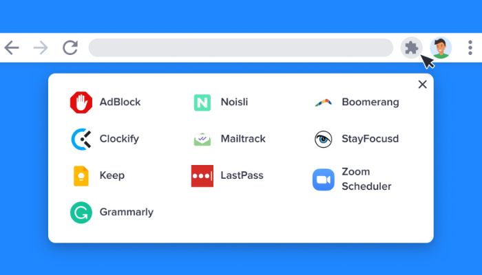 Browser Extensions