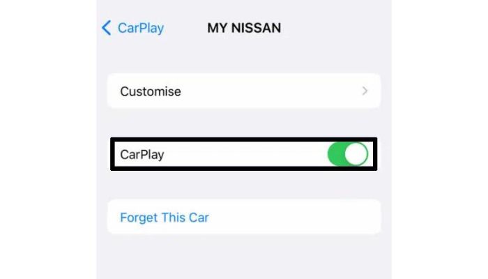 Carplay Customize