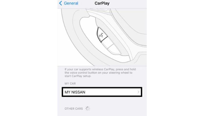 Carplay General Window
