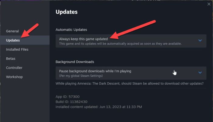 Diablo 4 Auto Update Steam