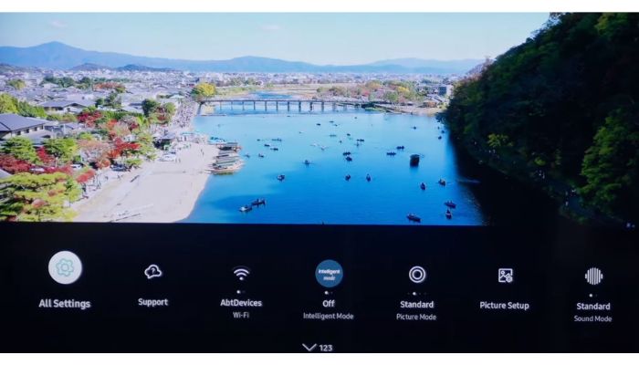 Samsung TV all settings