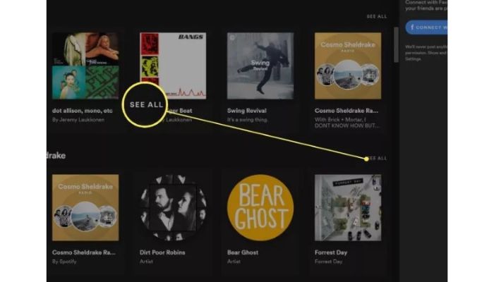 See All Recently Played
