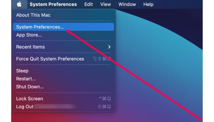 Select System Preference