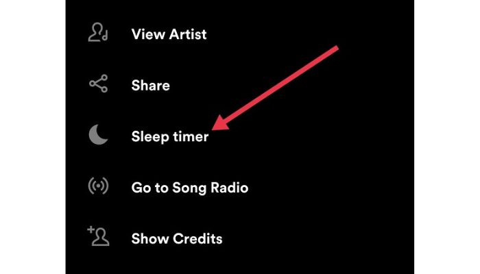Spotify Sleep Timer