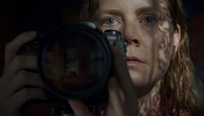 The Woman in The Window