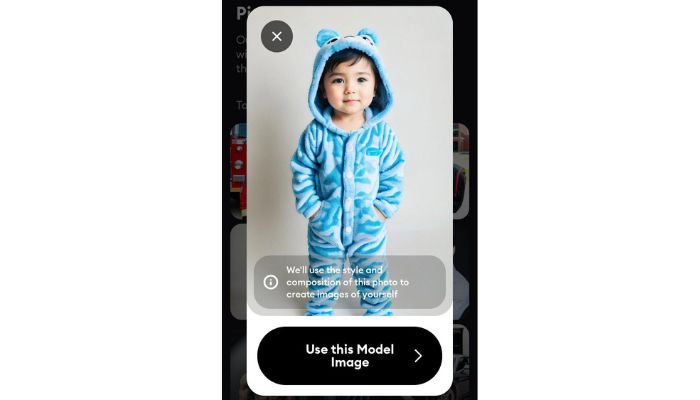 Use This Model Image