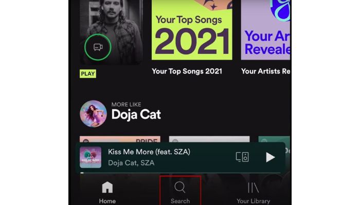spotify search