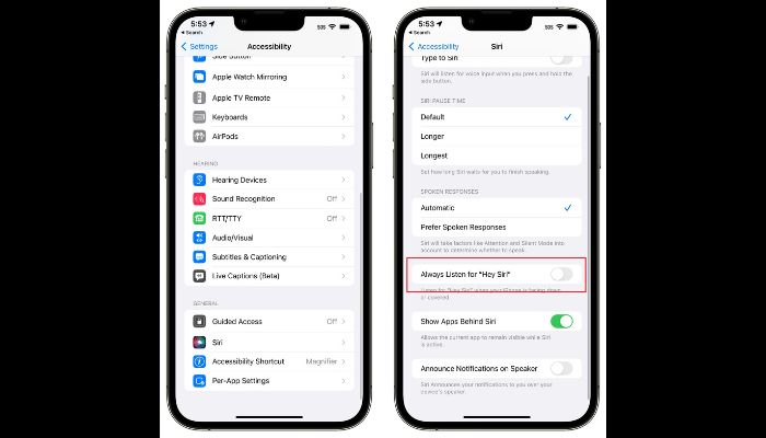 Accessibility siri
