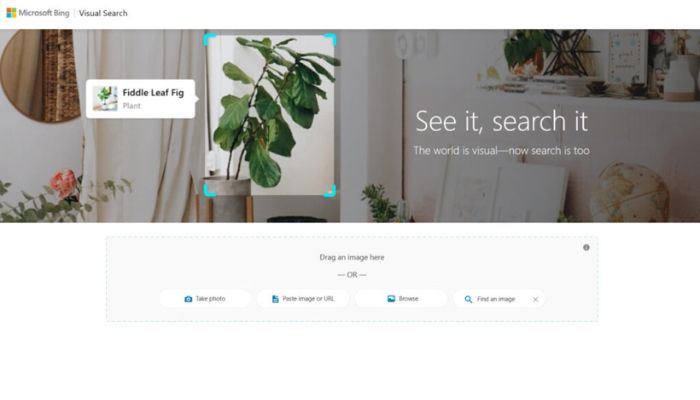 Bing Visual Search