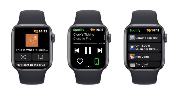 Control Music on Apple Watch