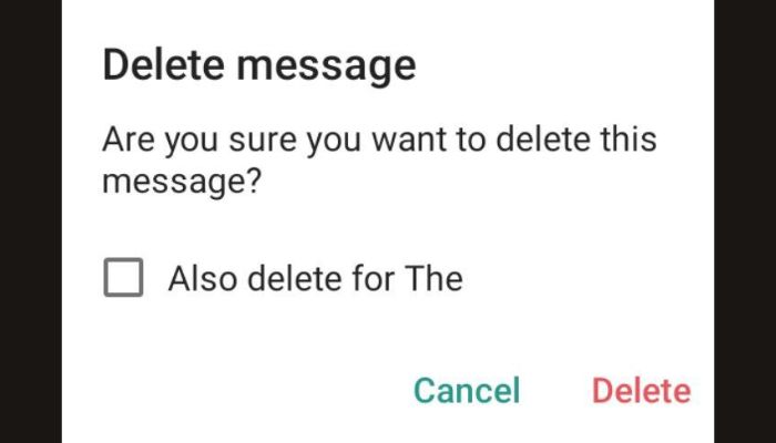Delete Messages for Both Parties