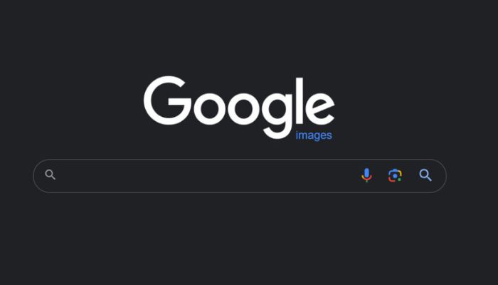 Google Image Search