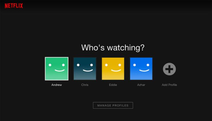 Netflix Temporary Codes