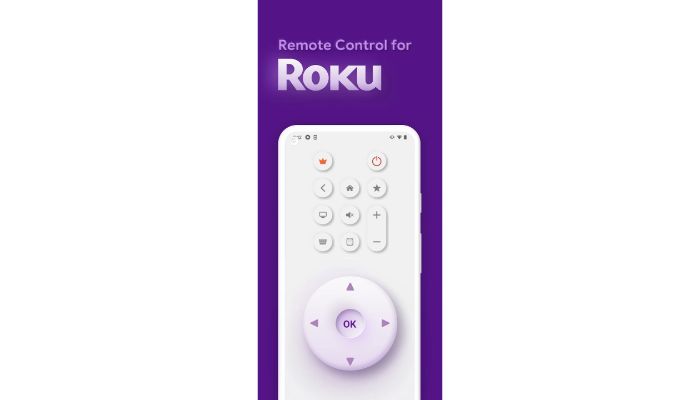Roku Remote TV