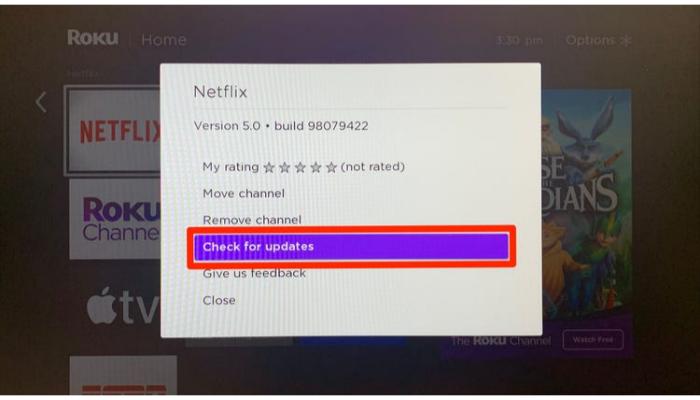 check netflix update on roku