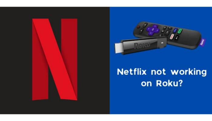 netflix not working roku issue fix
