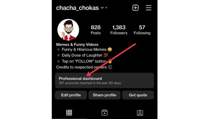 Instagram Professional Dashboard