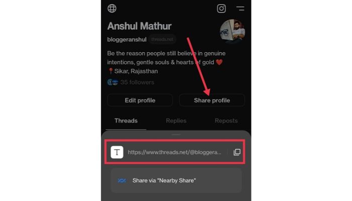 Share Threads Profile On Instagram