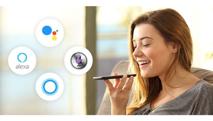 Voice recognition assistant