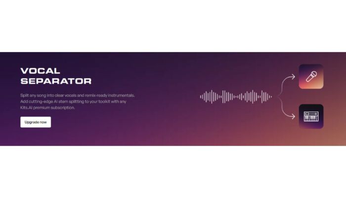 Voice separator