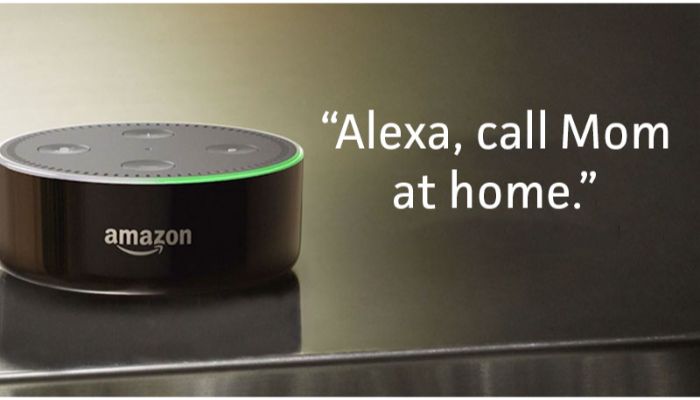 call with alexa vs google