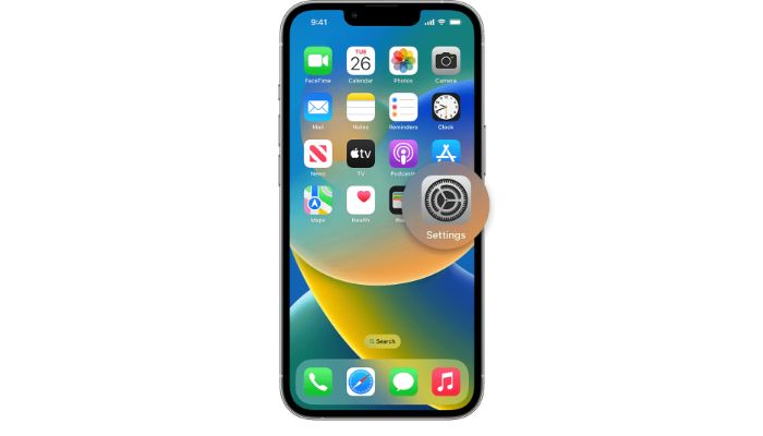 open iphone settings