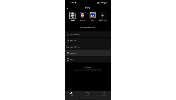 transfer netflix profile to a new account