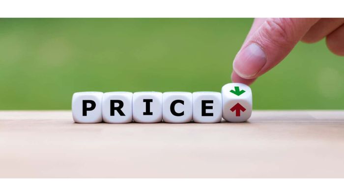 voice assistant pricing