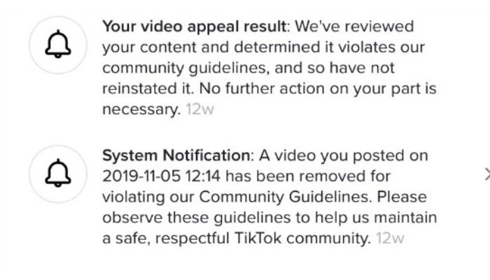 CG Violation tiktok