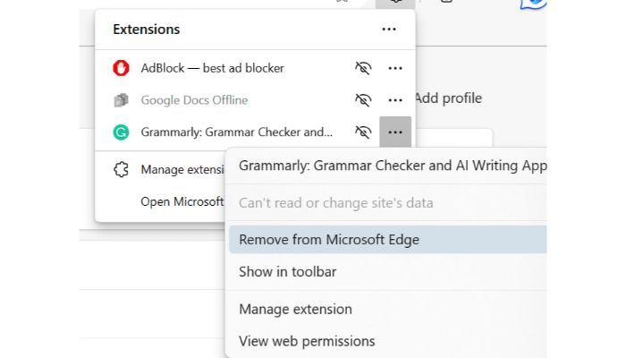 Remove Browser Extensions