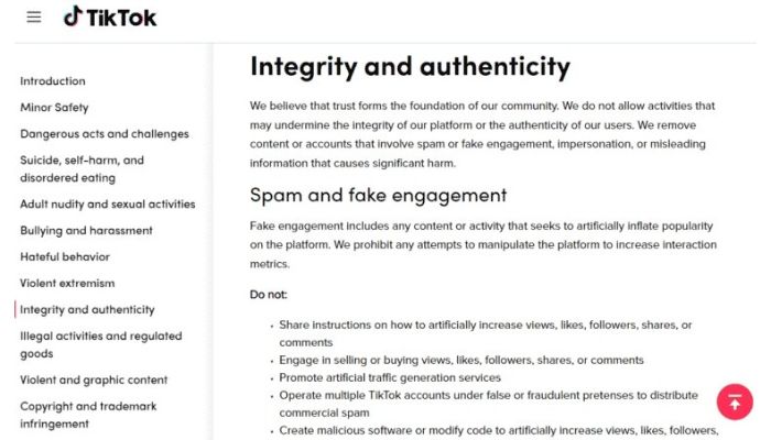 TikTok guidelines