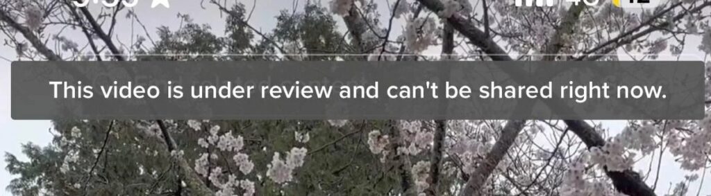 Video under review
