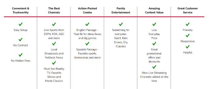 Vidgo features