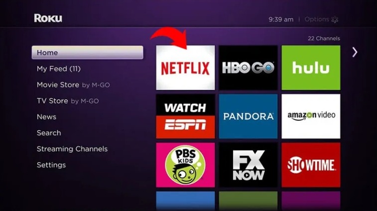 Choose Netflix