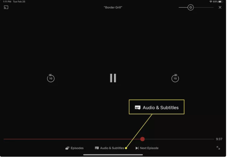 Turn Off Subtitles on Netflix Using an Android Device