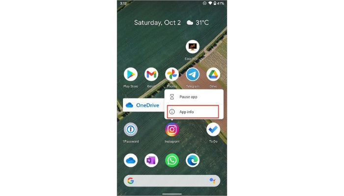 Go app Info menu