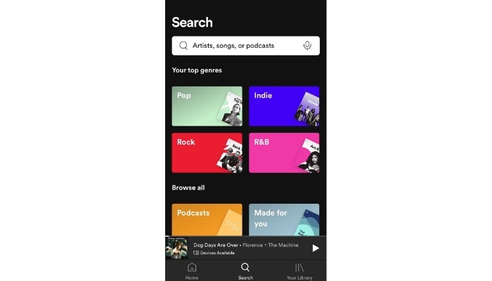 Search Bar Spotify