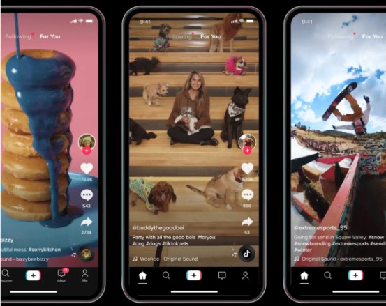 What Is TikTok
