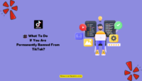 What To Do If You Are Permanently Banned From TikTok